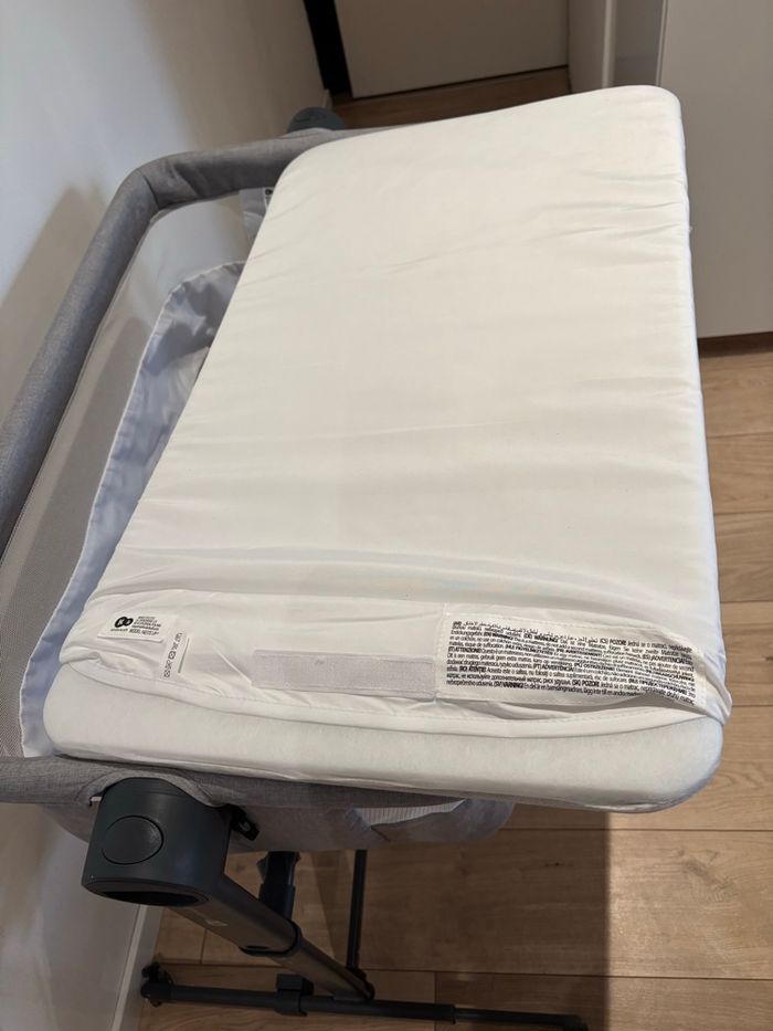 Cododo - photo numéro 5