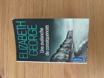Une avalanche de conséquences - Elizabeth George