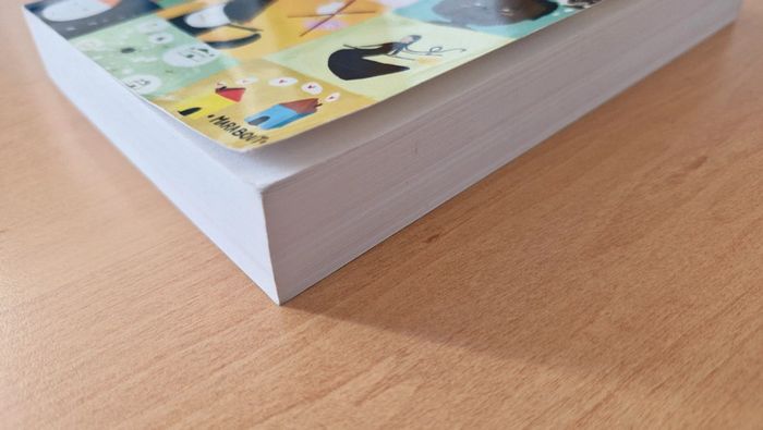 Cent histoires du soir de Sophie Carquain - photo numéro 4