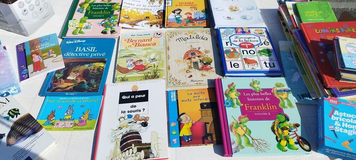 Lot de livres - photo numéro 3