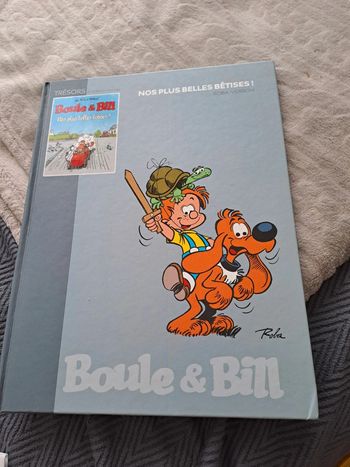 Boule et bill