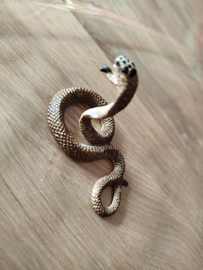Cobra - photo numéro 3