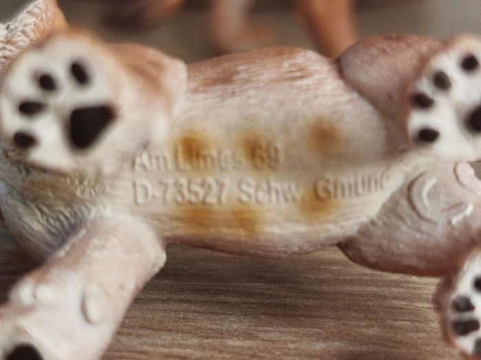 Schleich famille lion félin Figurine Animal de la savane - photo numéro 5