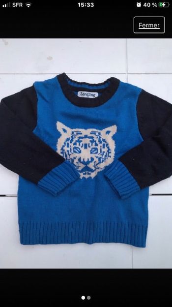 Pull tigre