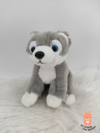 Peluche Husky gris blanc Créations Dani