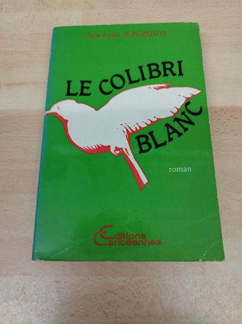 Jean-Louis Baghioo

Le colibri blanc

mémoires à deux voix roman