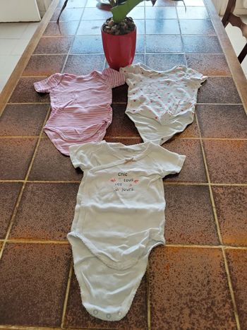 Lot de 3 bodies manches courtes