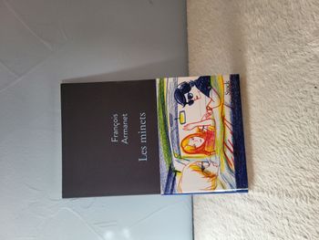 Livre Les minets - François Armanet - Stock