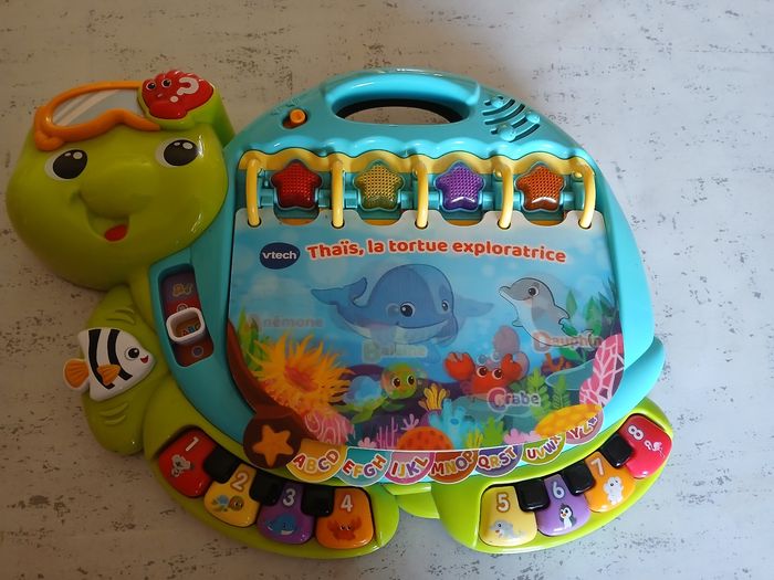 tortue
