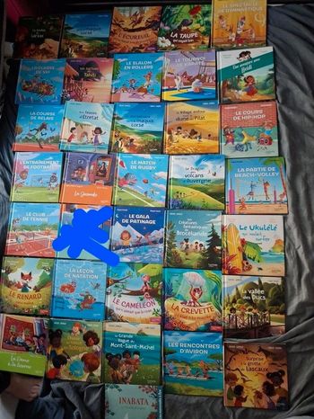 Lot de 35 livres Mac do