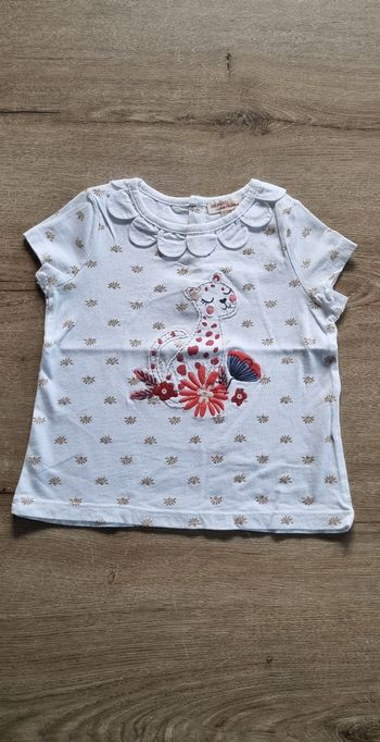 T-shirt MC à col DPAM 24 mois