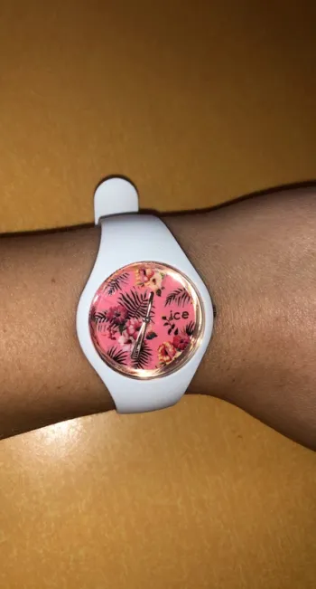 Montre ice