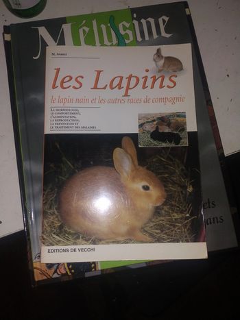 Les lapins