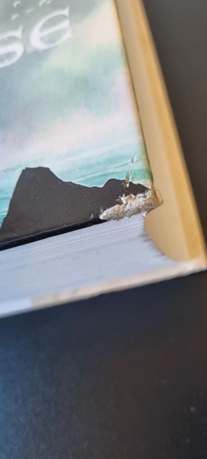 Lyonesse - Intégrale
Jack Vance - photo numéro 3