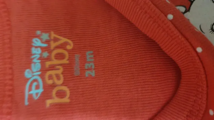 Lot bodies fille 23 mois - photo numéro 2