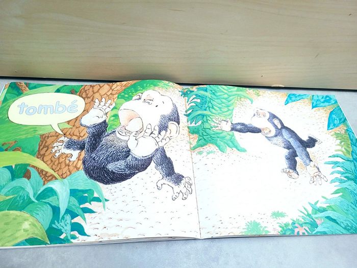 🌺 Livre (école des loisirs) : Grand - photo numéro 3