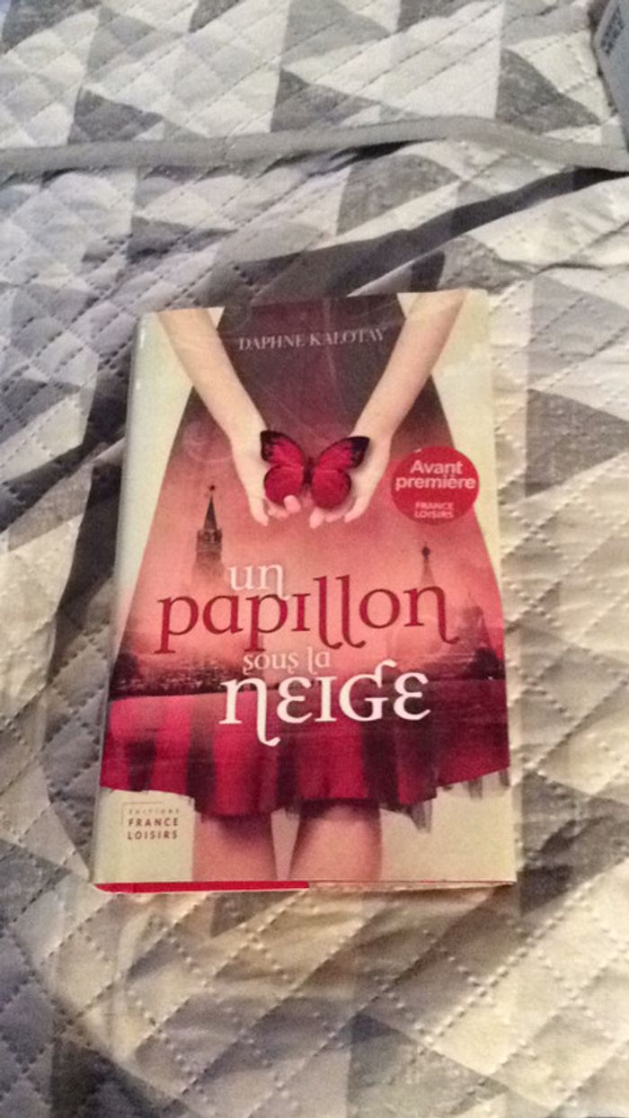 #un Papillon sous la neige par Daphnė Kalotay - photo numéro 3