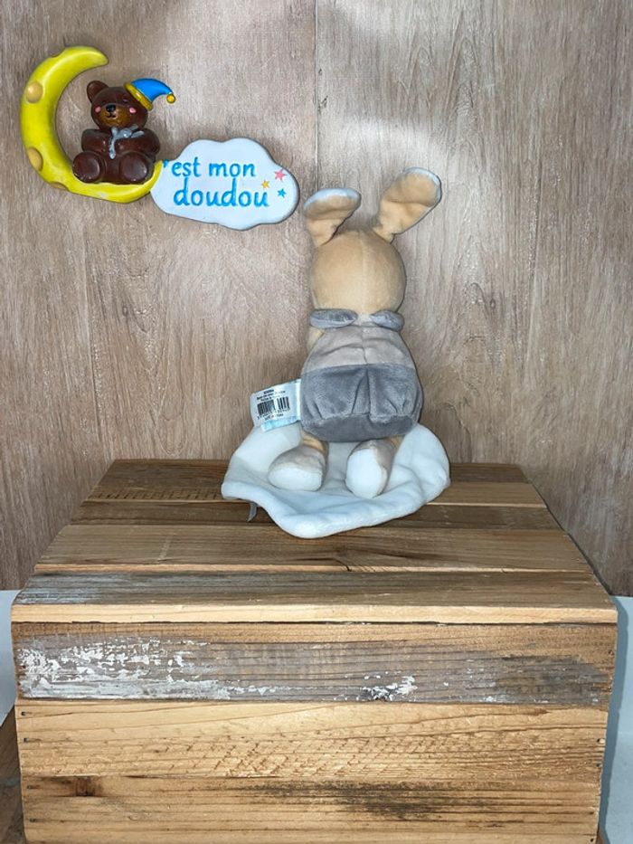 NAT119 doudou lapin 🐰 babynat - photo numéro 2