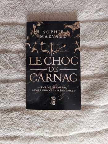Le choc de carnac de Sophie Marvaud