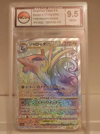 Majaspic V-STAR gradée 9,5 Akatsu Grading 