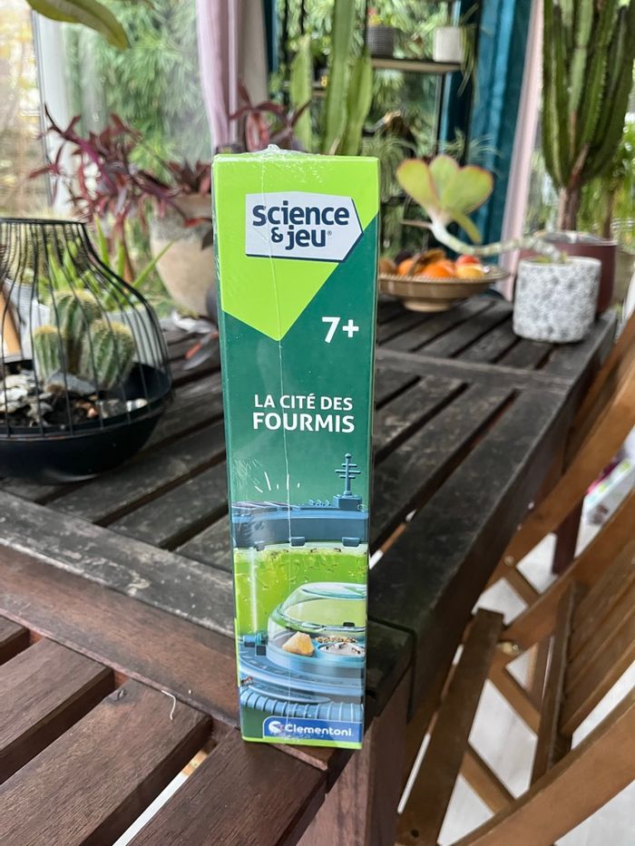 La cité des fourmis clementoni neuf - photo numéro 2