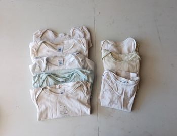 Lot bodies
