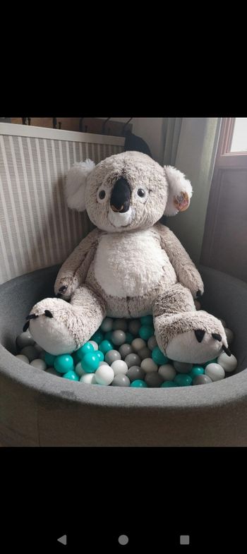 Koala assis 62cm