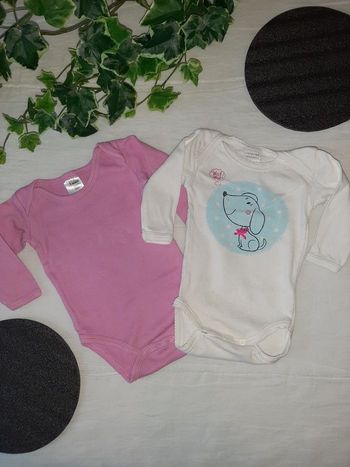 Lot de deux bodies m.longues toutes saisons 3mois fille 👧 en BE