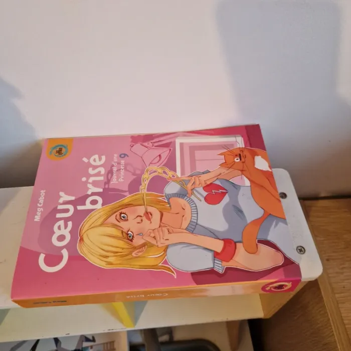 Livre journal d'une princesse - photo numéro 6
