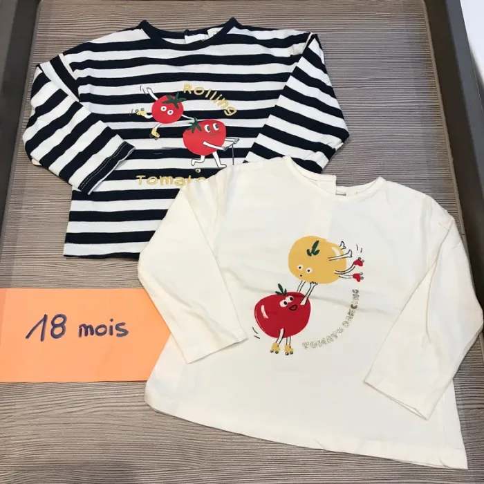 Lot 2 Teeshirt ML 18 mois 🦊