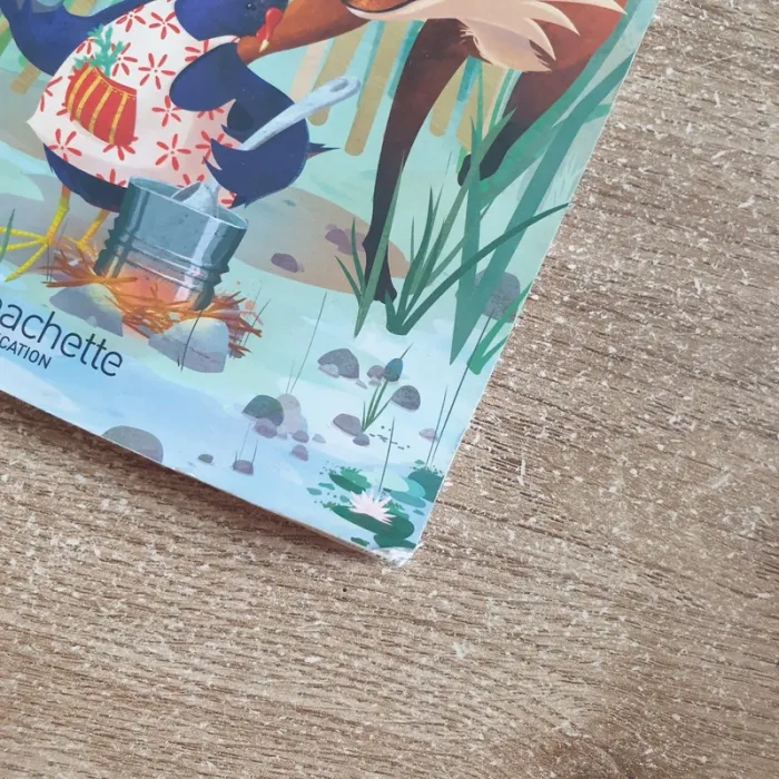 ⭐ Livre la soupe de cailloux Hachette éducation #emyfleury_livres - photo numéro 4
