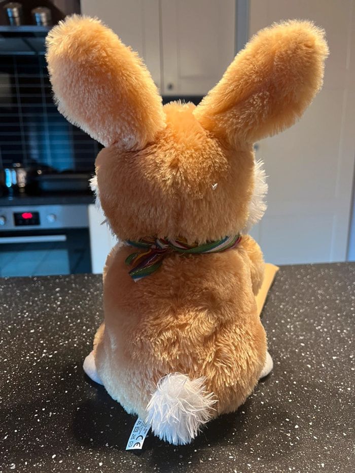 Lapin électronique - photo numéro 3