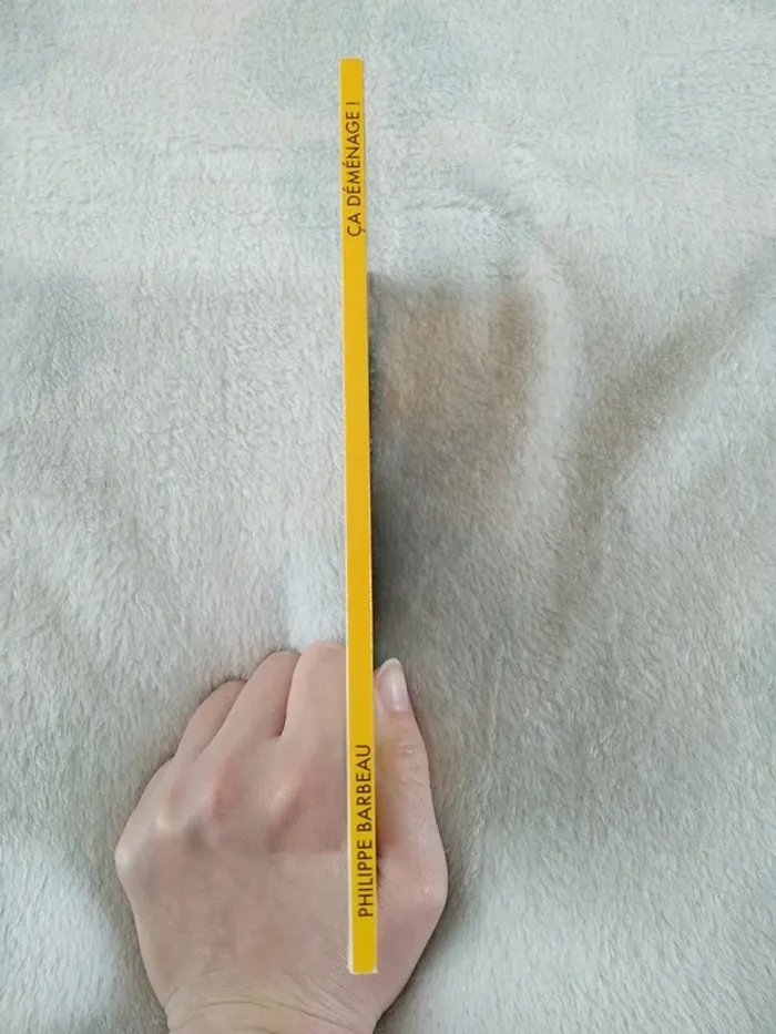 Ça déménage ! - photo numéro 4