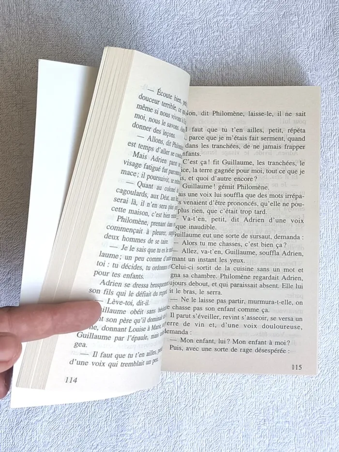 2 livres Les Noëls Blancs / Les menthes sauvages - photo numéro 7