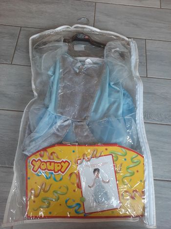 Déguisement robe