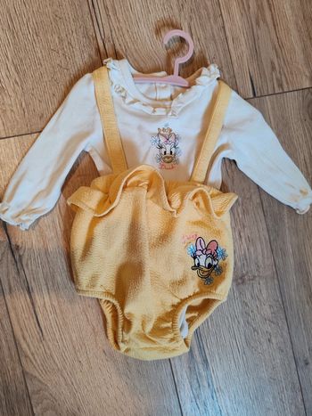 Ensemble Daisie