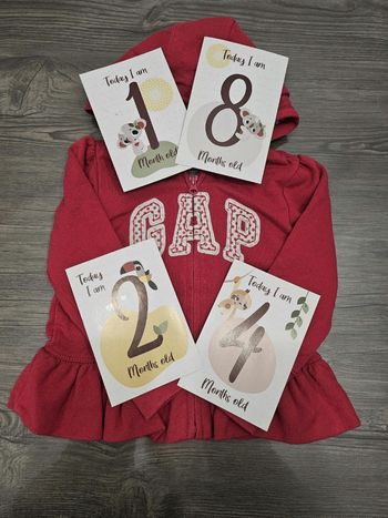 Veste zippée 18 24 mois