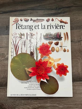 Livre : l étant et la rivière