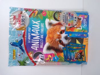 Album animaux - Mille et une couleurs (J14)