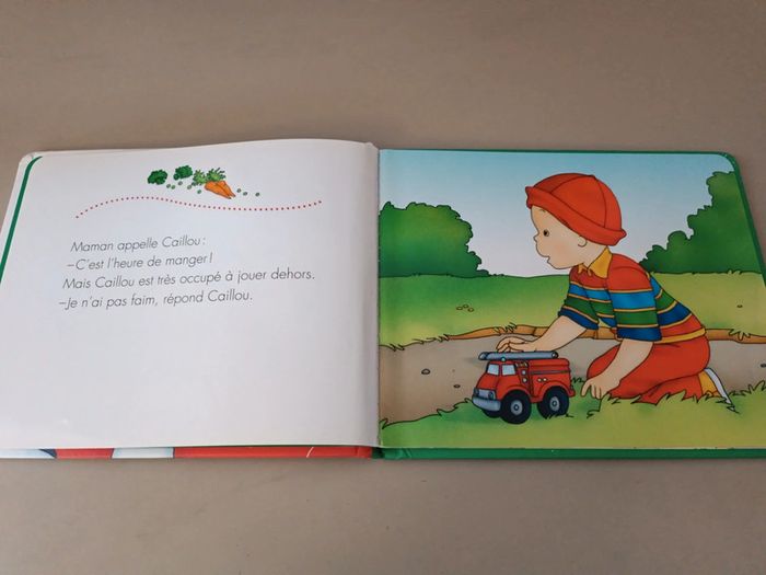 Caillou je n'ai pas faim chouette - photo numéro 5