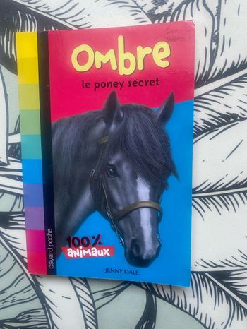 Ombre le poney secret