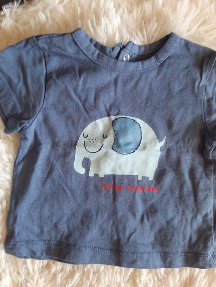 Tee-shirt éléphant - photo numéro 2