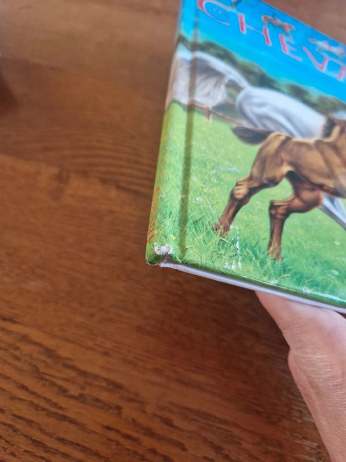 Livre La grande imagerie 🐎 - photo numéro 4