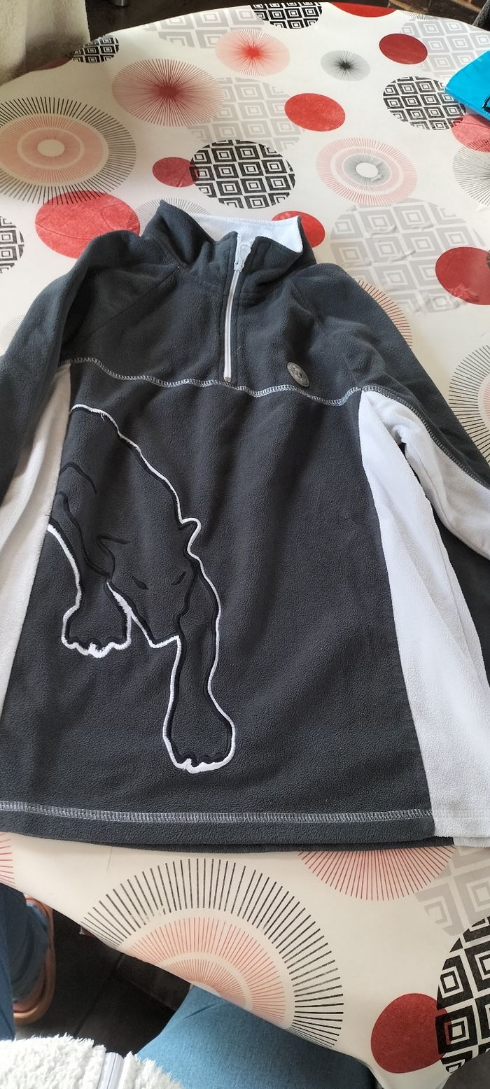 Pull polaire