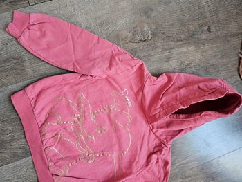 Sweat capuche rose dumbo disney