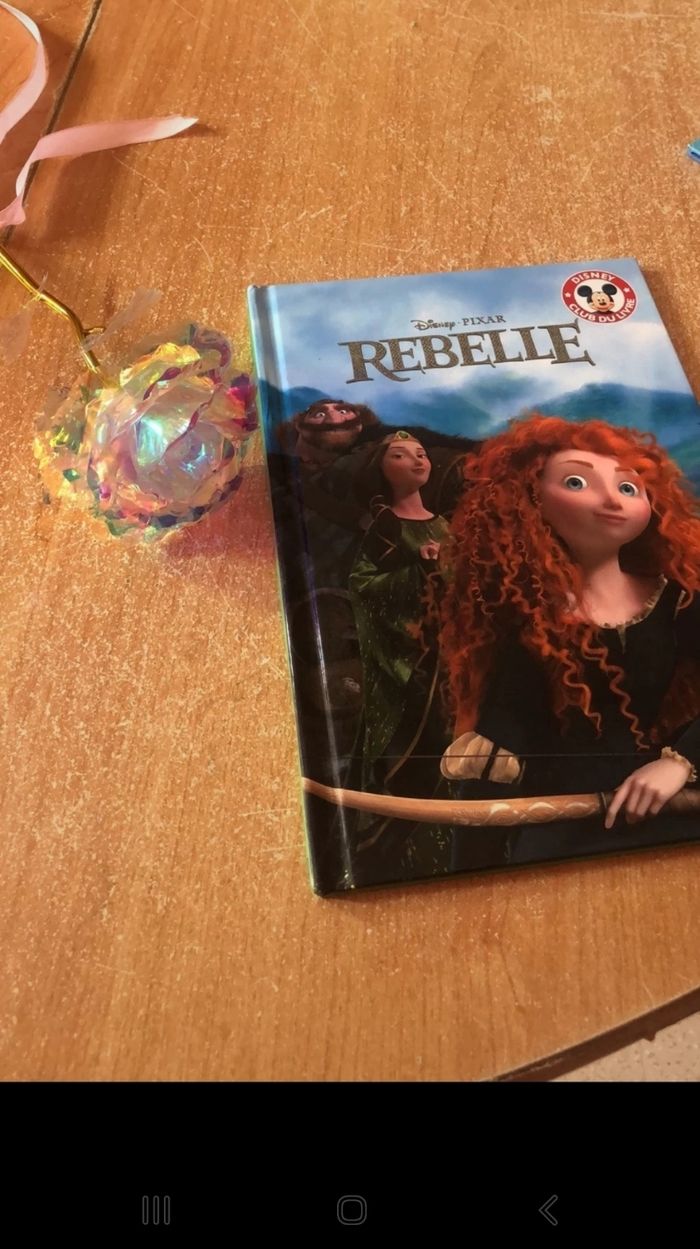 Livre disbey rebelle