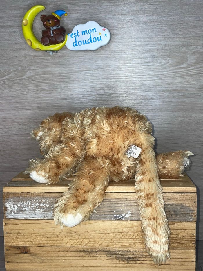 BK03 doudou chat 🐱 bukowski - photo numéro 2