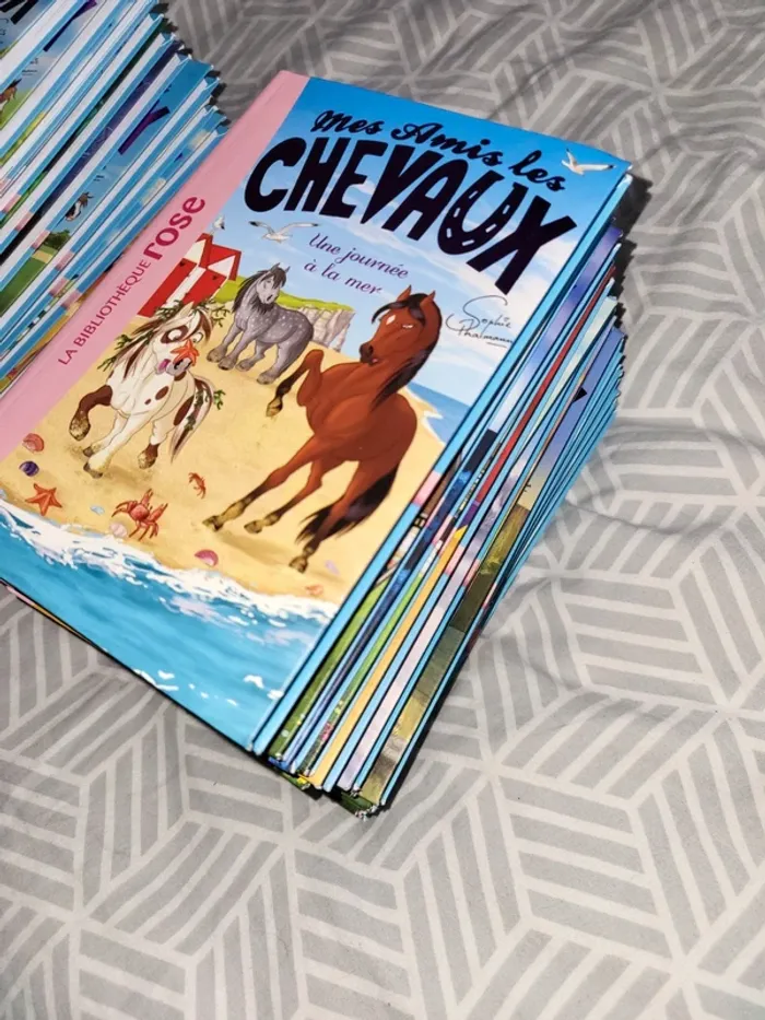 collection Mes amis les chevaux - photo numéro 12