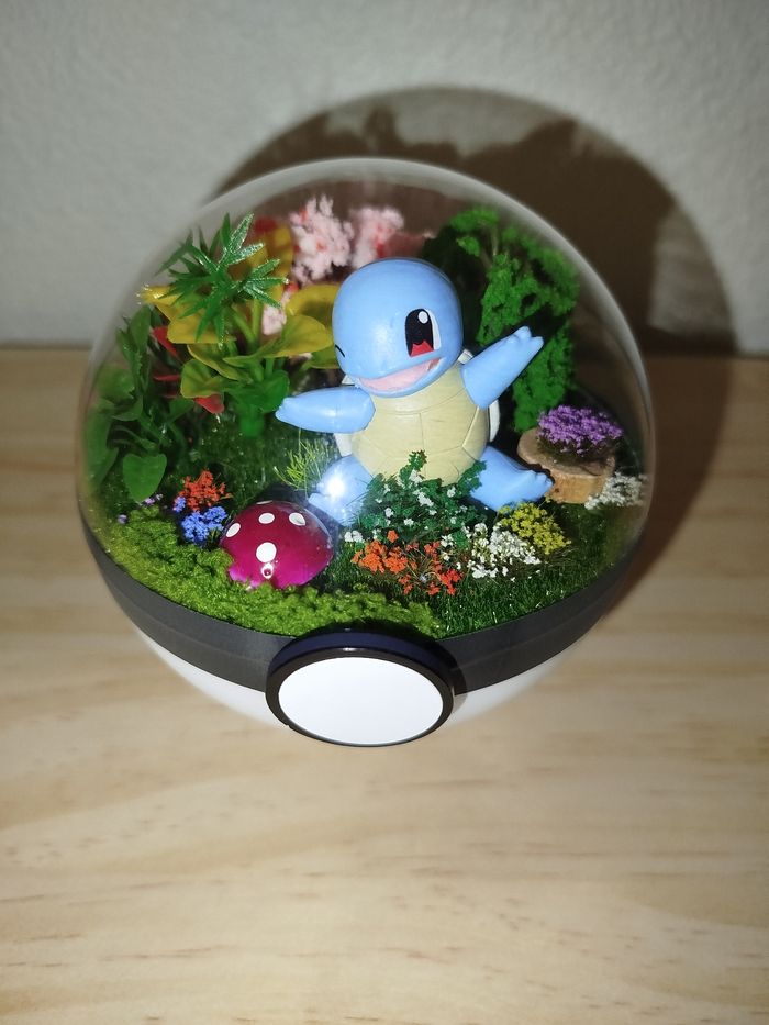 Pokeball carapuce