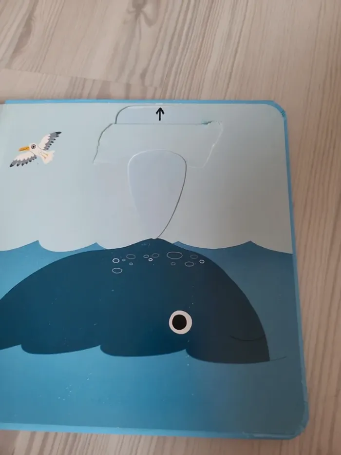 Kididoc oh! Les beaux animaux - photo numéro 3